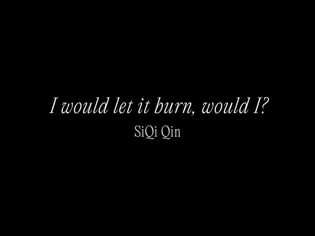 I would let it burn, would&nbsp;I?